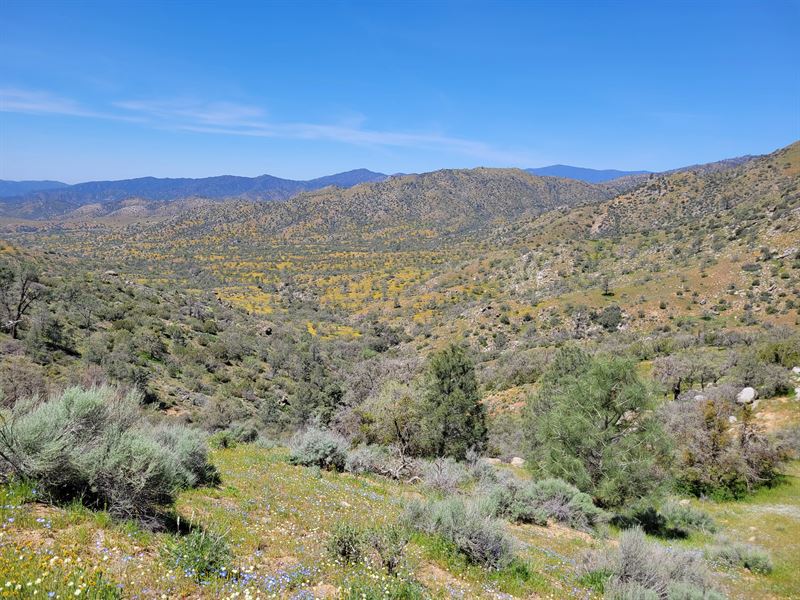 Mountain Land, Accessible, Private : Twin Oaks : Kern County : California