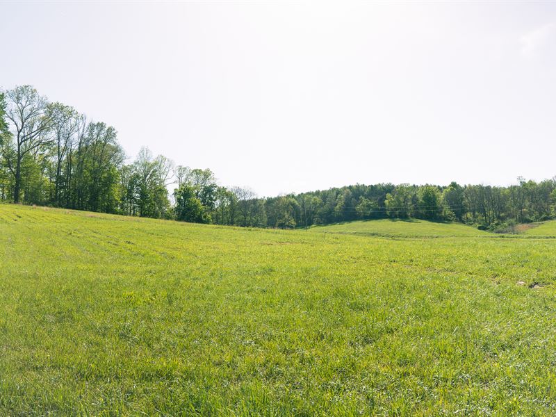 Fitzpatrick Road Land for Sale : Wilkesville : Vinton County : Ohio