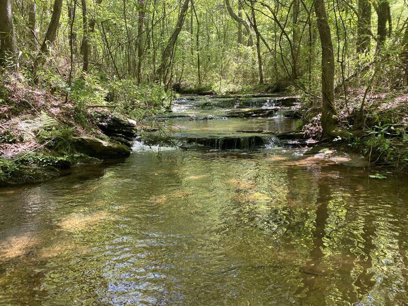 45 Acres, Woodland, Alabama : Woodland : Randolph County : Alabama