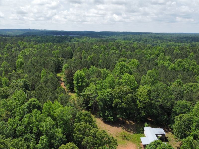 Tract 1, 22.5 Acres Woodland, AL : Woodland : Randolph County : Alabama