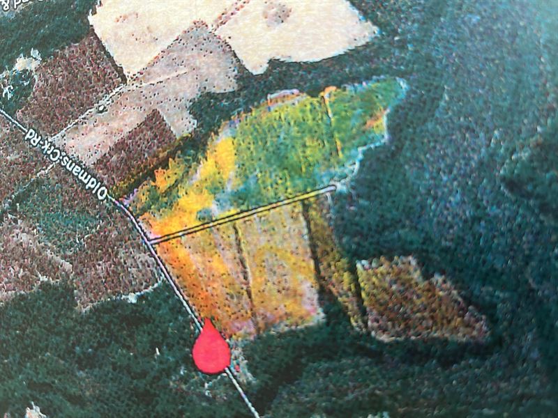 Farm Land with Access to Creek : Woolwich Township : Gloucester County : New Jersey