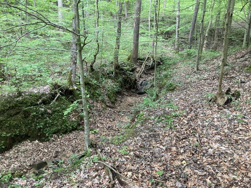 Campsite Hunting Getaway : Canmer : Hart County : Kentucky
