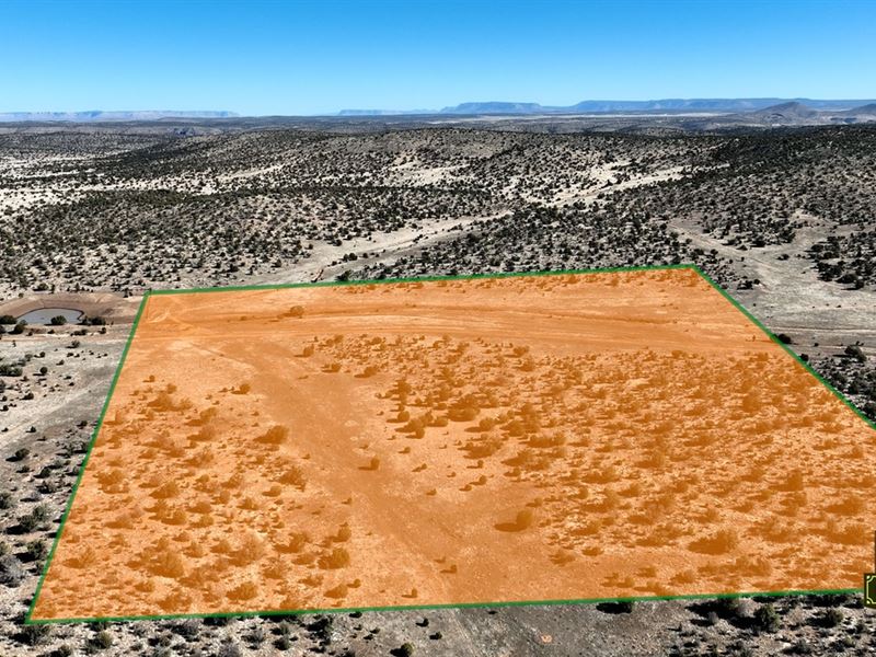 Reduced, Escape to Your 40 Acres : Peach Springs : Mohave County : Arizona