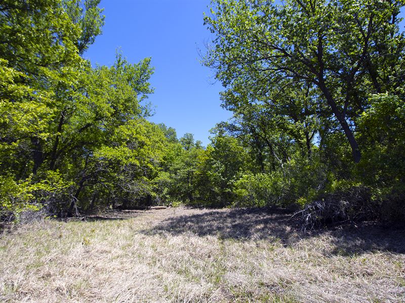 Stephens, Garvin, & Grady County : Duncan : Stephens County : Oklahoma