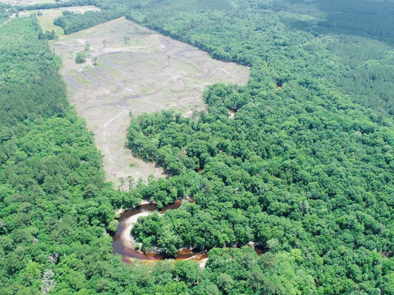 Alapaha River Homeplace : Willacoochee : Atkinson County : Georgia