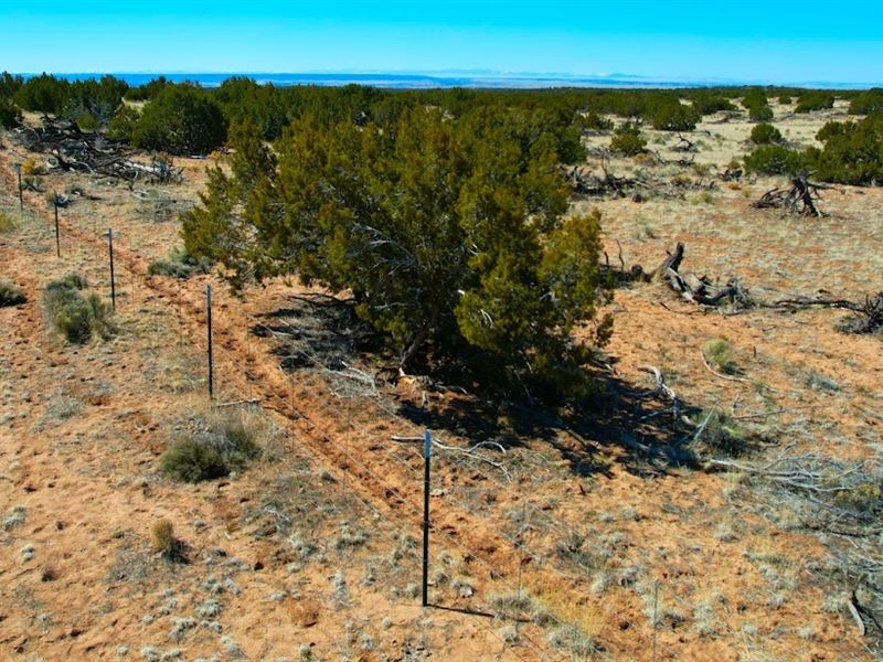Shared Well, 37 Acres St Johns, AZ : Saint Johns : Apache County : Arizona