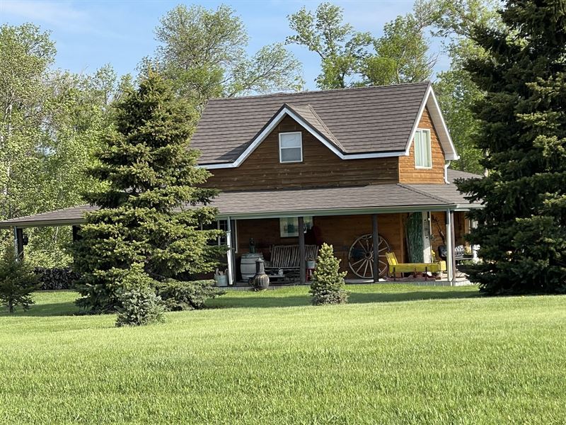 The Wilton 40 : Wilton : Burleigh County : North Dakota