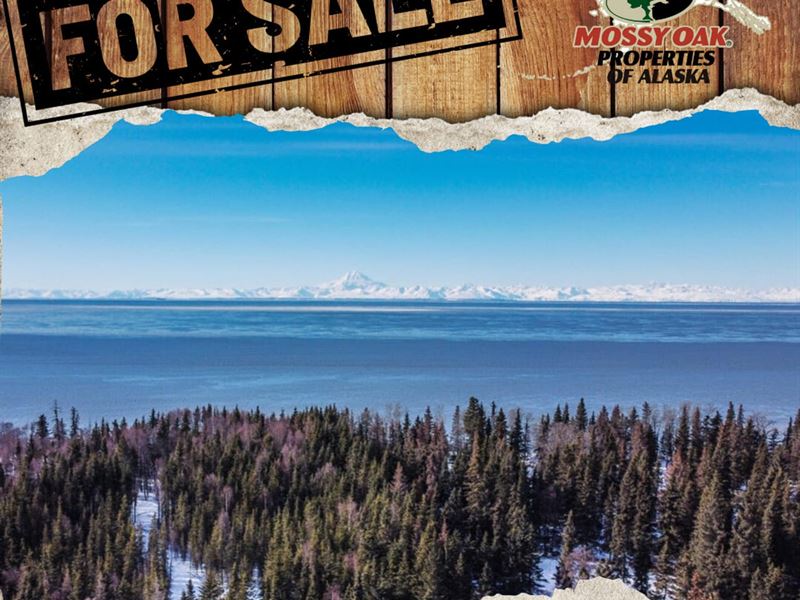 11.17 Acres K-Beach Oceanfront Moun : Kenai : Kenai Peninsula Borough : Alaska