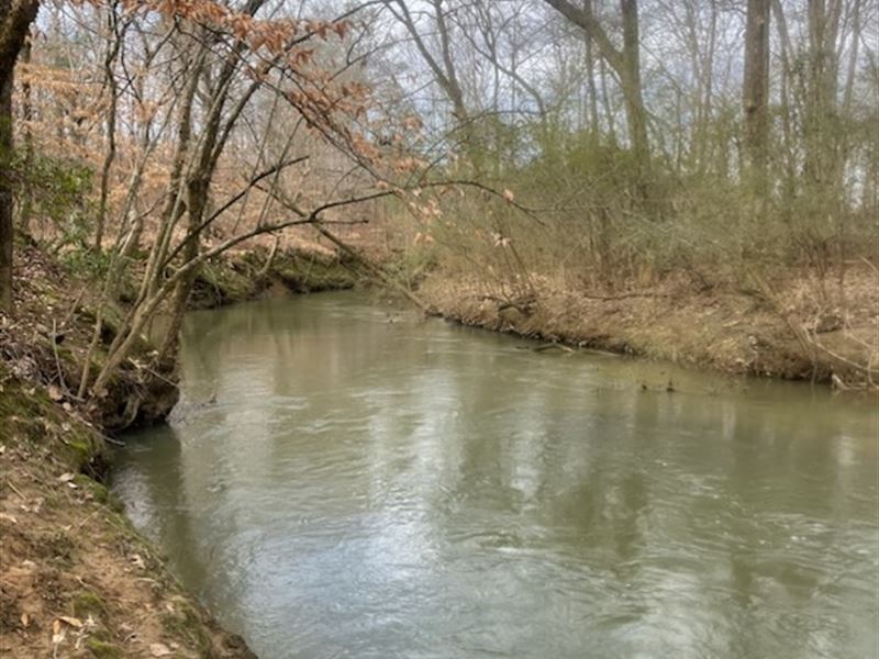 100Ac. with Cane Creek Frontage : Ohatchee : Calhoun County : Alabama