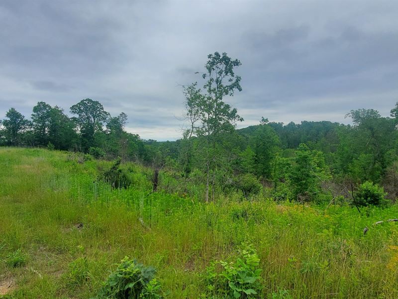 Bailey Spring's 50, Ohatchee, AL : Ohatchee : Calhoun County : Alabama