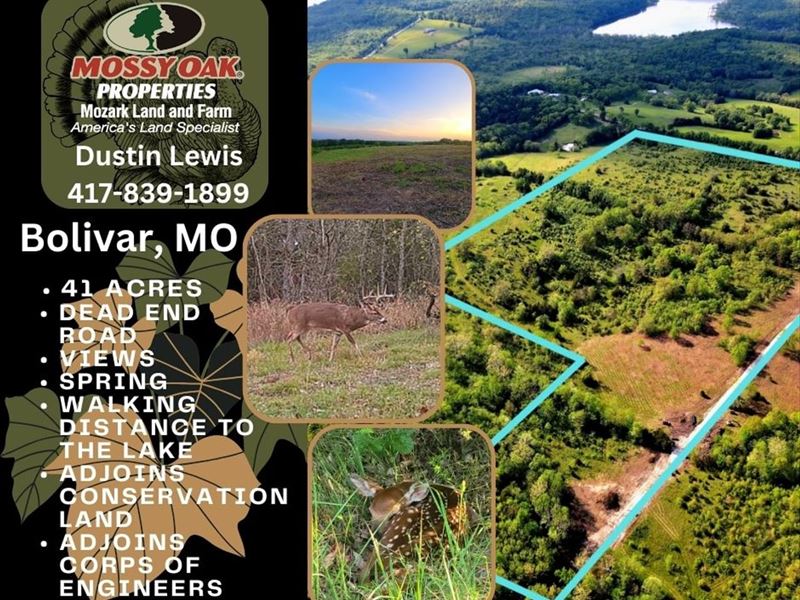 Pomme DE Terre Lake Acreage : Bolivar : Polk County : Missouri