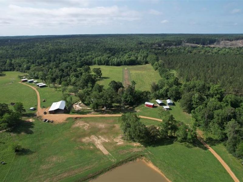 70 Acres in Marion County in Foxwor : Foxworth : Marion County : Mississippi