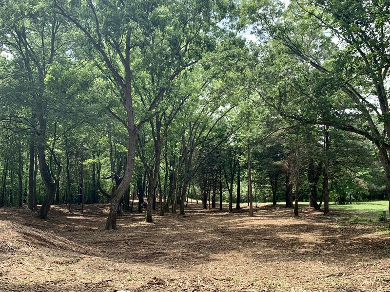 25 Acres Close to Crawford, GA : Crawford : Oglethorpe County : Georgia