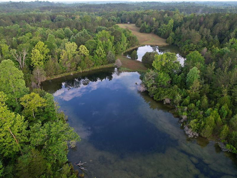 Davenport Farm : Highland Home : Crenshaw County : Alabama