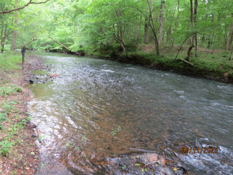 Terrapin Creek Hunting Land : Piedmont : Cleburne County : Alabama