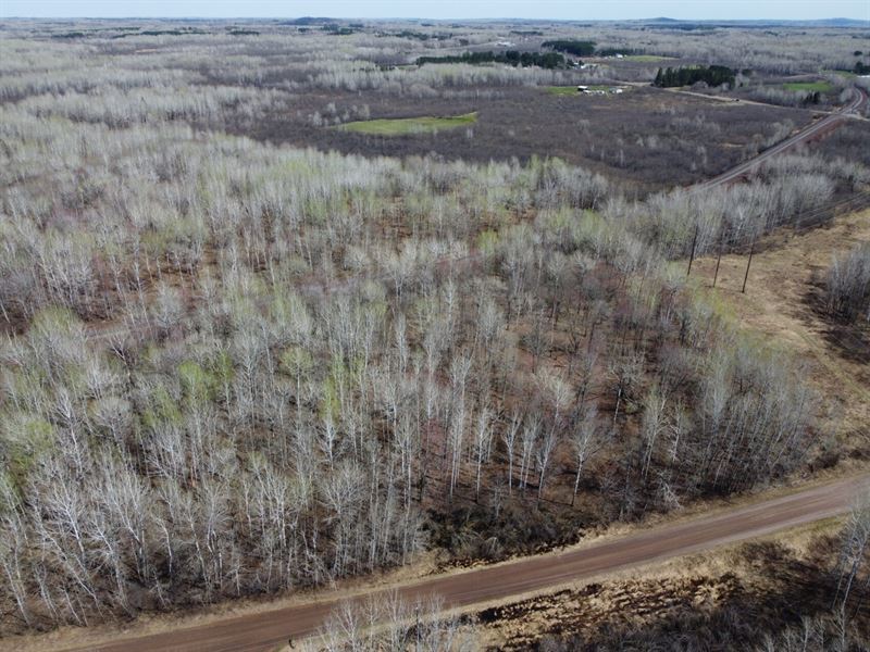 10.30 Acre Wooded with Power : Cloquet : Saint Louis County : Minnesota