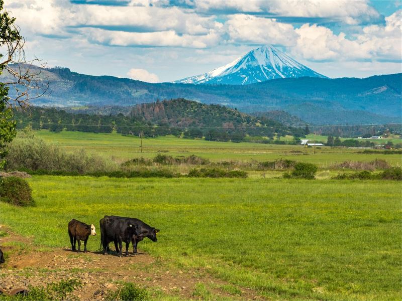 Reese Creek Farm : Eagle Point : Jackson County : Oregon