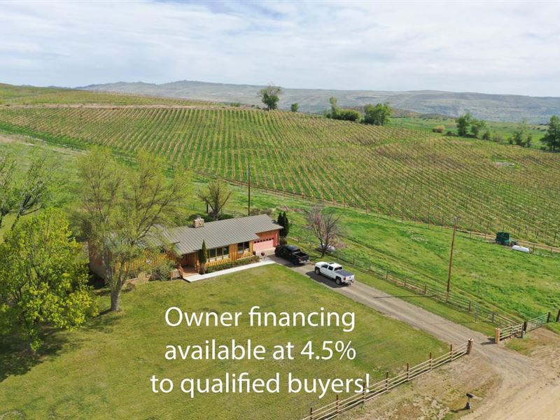 Anderson Hill Vineyard Estate : Richland : Baker County : Oregon