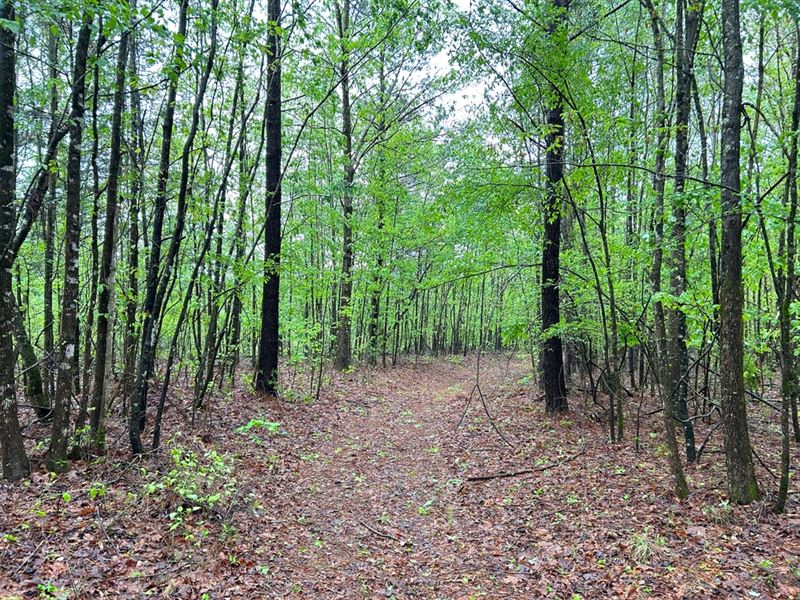 35.46 Acres in Choctaw County, MS : Ackerman : Choctaw County : Mississippi