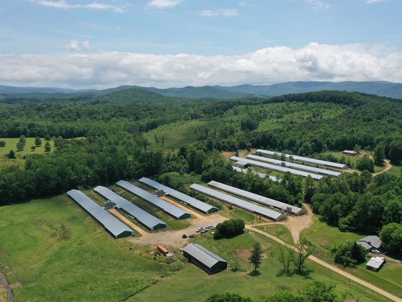 New Price, Kilough Broiler Farm : Ellijay : Gilmer County : Georgia