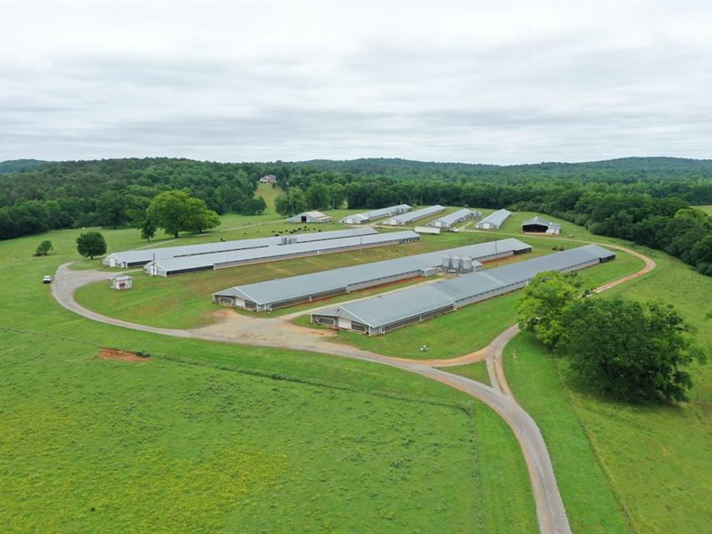 Tom's Broiler Farm : Lincoln : Talladega County : Alabama