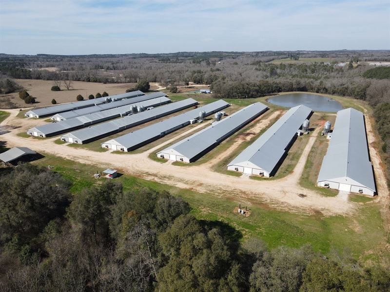 Reduced, Turner Creek Broiler Farm : Jack : Coffee County : Alabama
