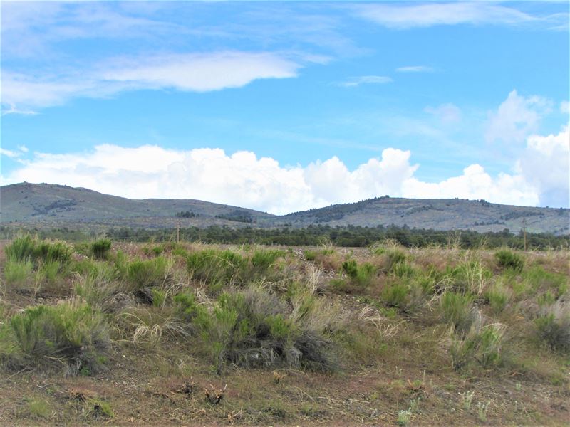 Embrace The Outdoors Near Mountains : Montello : Elko County : Nevada