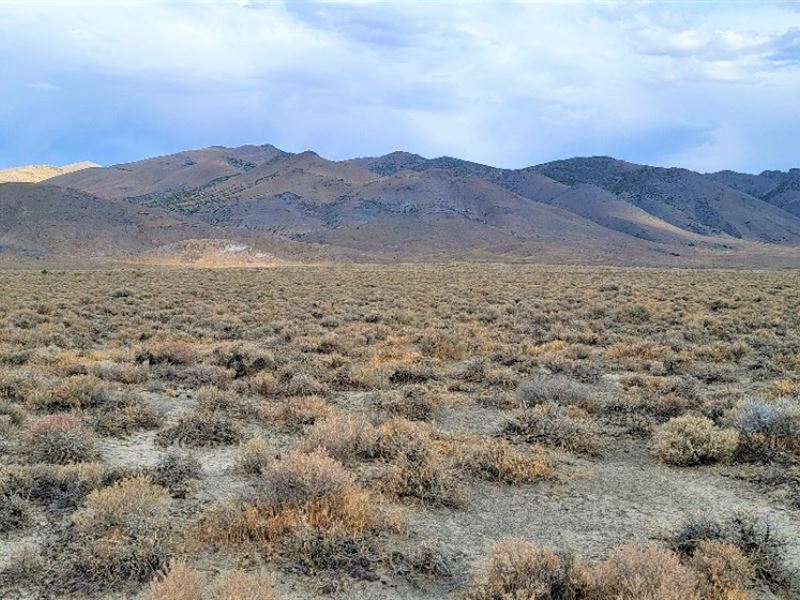 Escape to Nature's Paradise, 42 Ac : Winnemucca : Humboldt County : Nevada