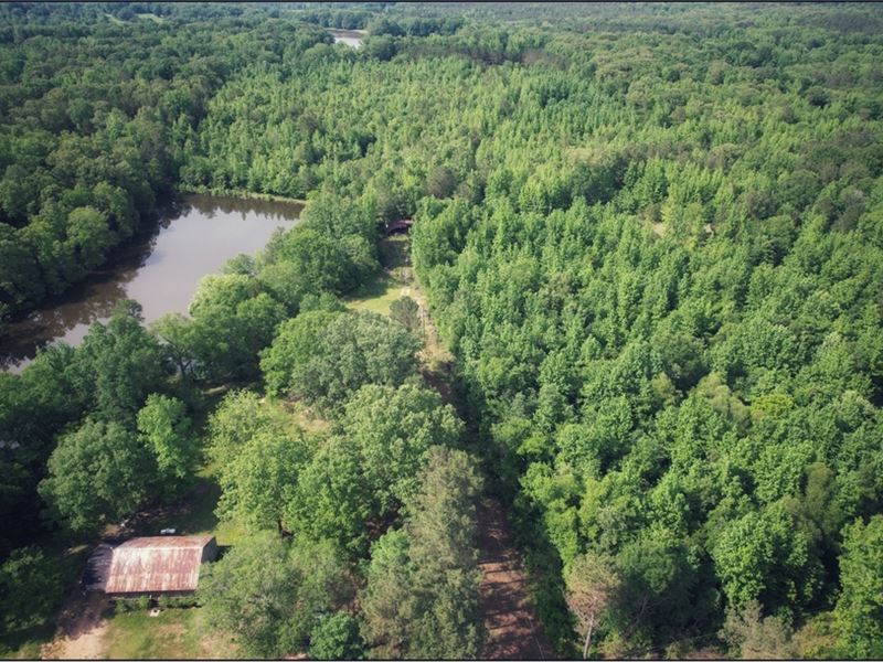 45 Acres with A Hunting Camp in Car : Carrollton : Carroll County : Mississippi