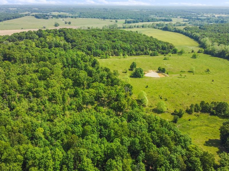 Hunter's Paradise with Barn : West Plains : Howell County : Missouri