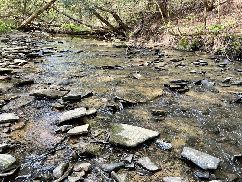 Warrens Mill Rd Meyersdale, 20 Acr : Meyersdale : Somerset County : Pennsylvania