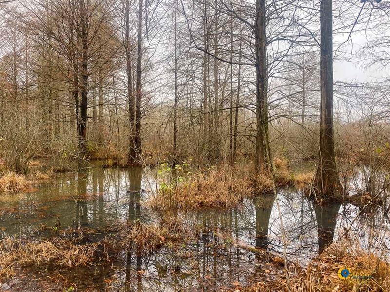 Indian Creek Tract : Athens : Oglethorpe County : Georgia
