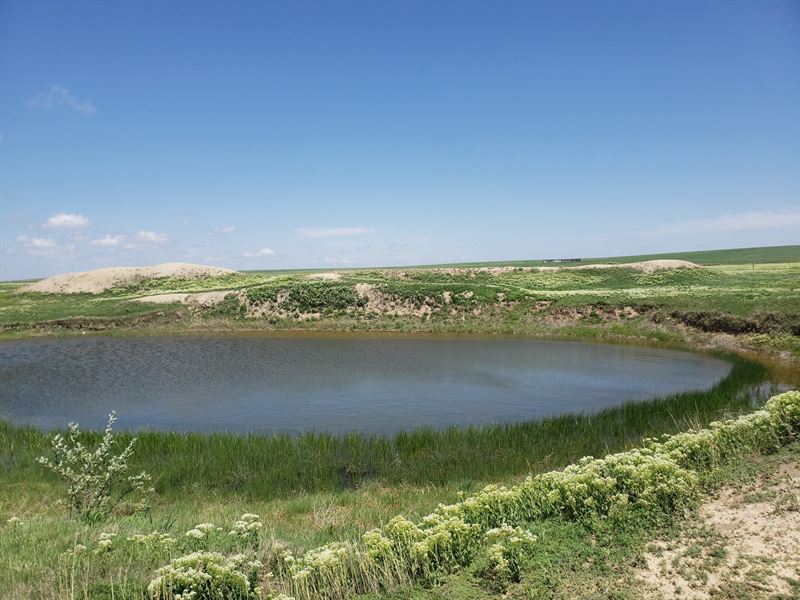 Wright's Farm and Ranch Parcel 5-A : Akron : Washington County : Colorado