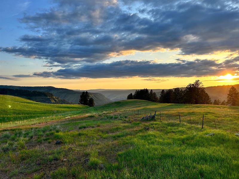 Camp 9 Hunting Ranch : Enterprise : Wallowa County : Oregon