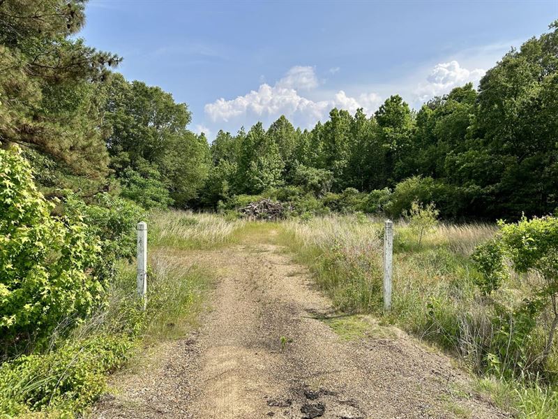 Panola County, Lot 2, Highway 6 : Batesville : Panola County : Mississippi