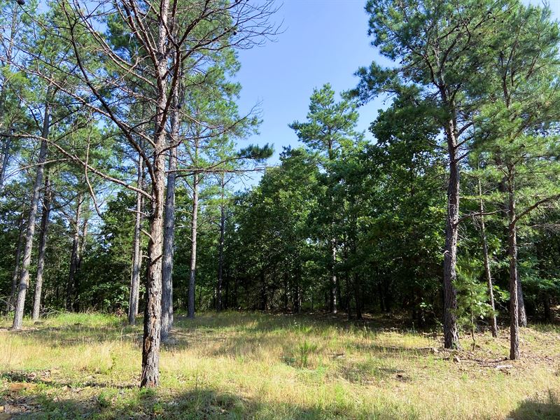 Beautiful Mountain Getaway : Rattan : Pushmataha County : Oklahoma