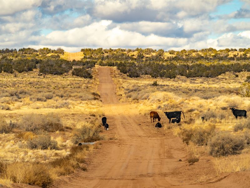 Arizona Dream, 39.37 Acres for Sale : Puerco : Apache County : Arizona
