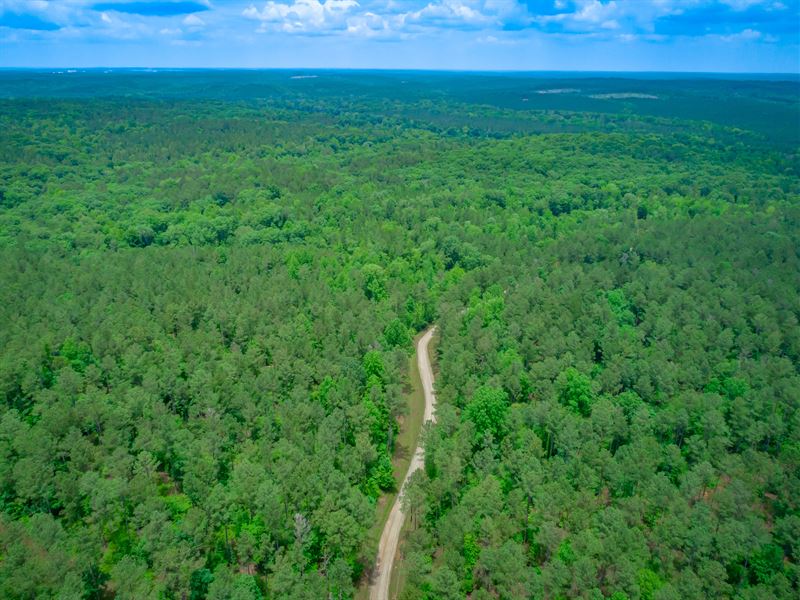 Incomparable Investment Property : Little Mountain : Richland County : South Carolina