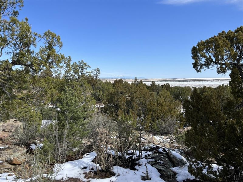 28 Turkey Ridge Ranch, Walsenburg : Walsenburg : Huerfano County : Colorado