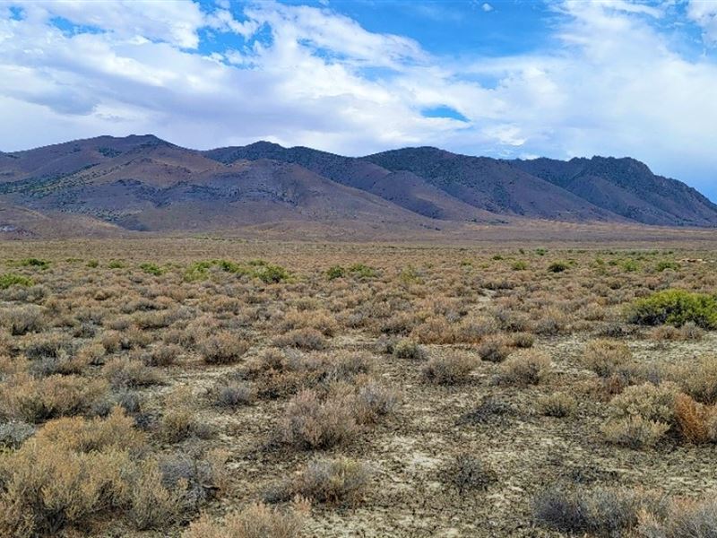 Near Rye Patch Recreation Area : Winnemucca : Humboldt County : Nevada