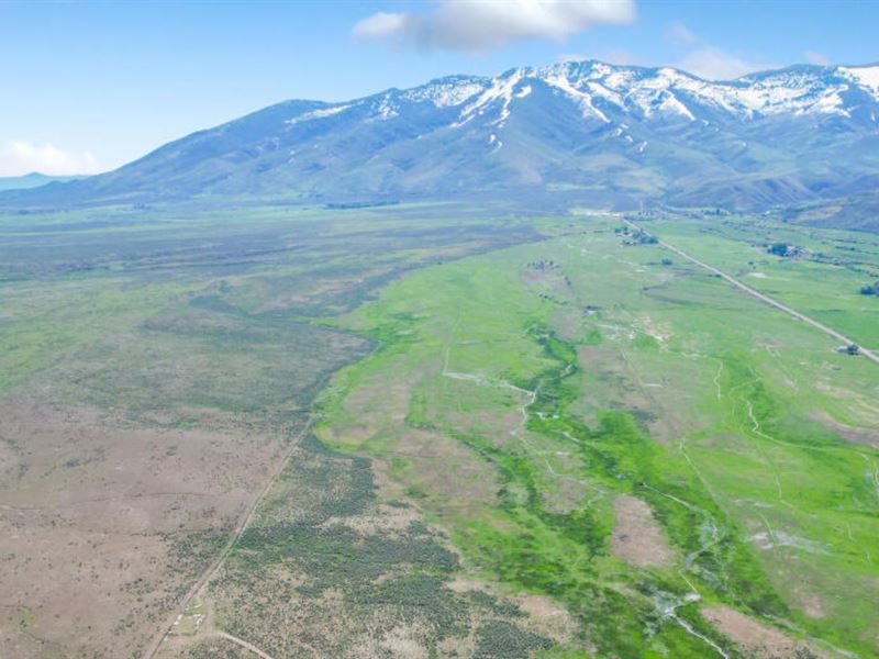 Exceptional Fishing in Elko County : Deeth : Elko County : Nevada