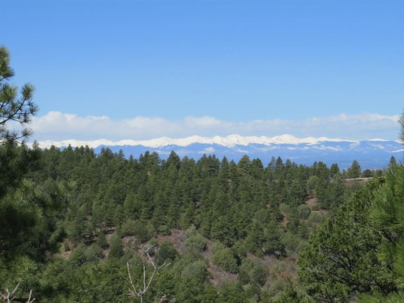B46 Santa Fe Trail Ranch : Trinidad : Las Animas County : Colorado