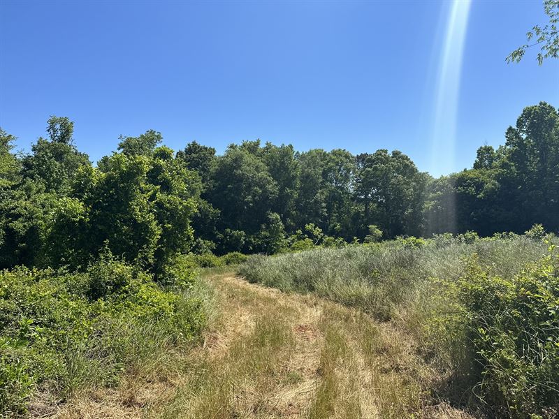 Pasture, Hunting, Homesite : Plains : Sumter County : Georgia
