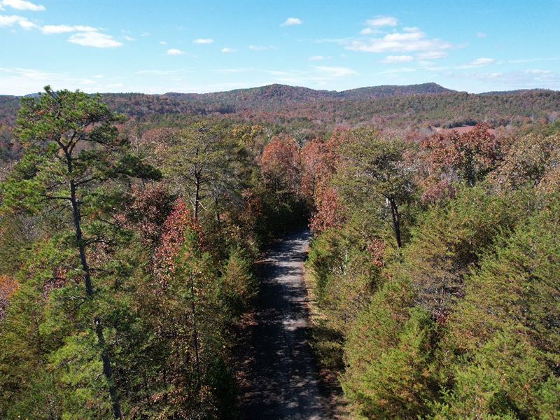 46 Acres, Stephens County, GA : Toccoa : Stephens County : Georgia