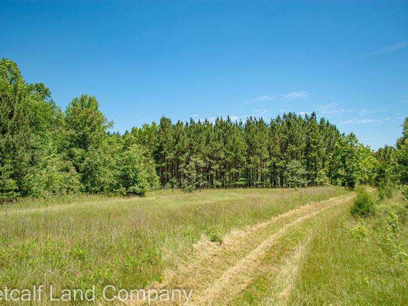 295 Acres in Union County : Union : Union County : South Carolina