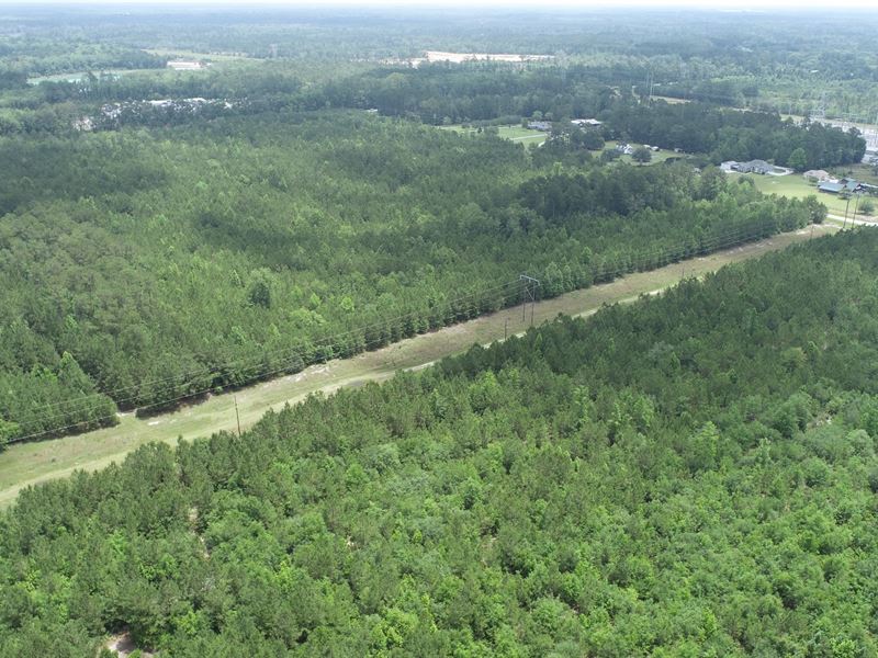 Meldrim Road : Bloomingdale : Effingham County : Georgia