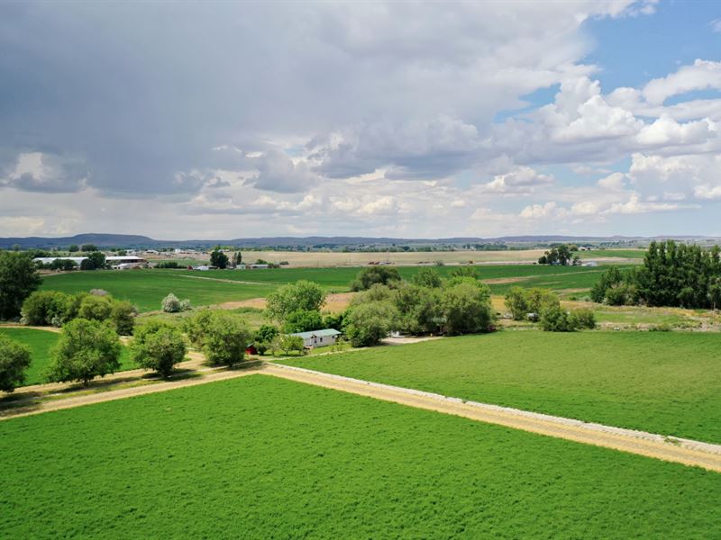 Overstreet Farm : Nyssa : Malheur County : Oregon