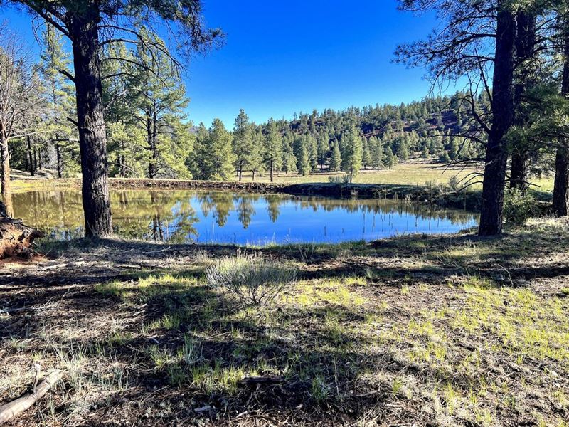 Bluewater Creek Ranch : Bluewater : Cibola County : New Mexico