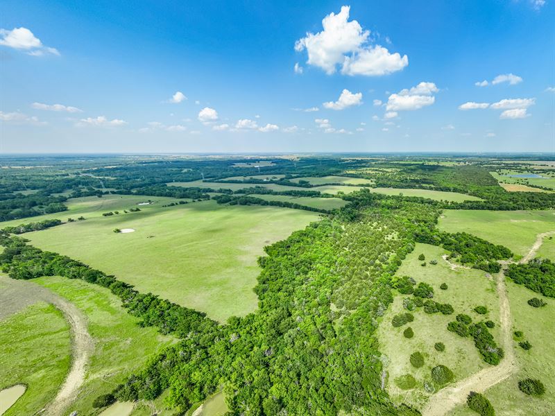 Ranch Recreational Land for Sale TX : Honey Grove : Fannin County : Texas