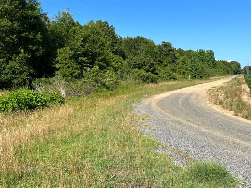 La, West Carroll 80 Acres : Oak Grove : West Carroll Parish : Louisiana